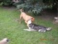 dscn1753.jpg